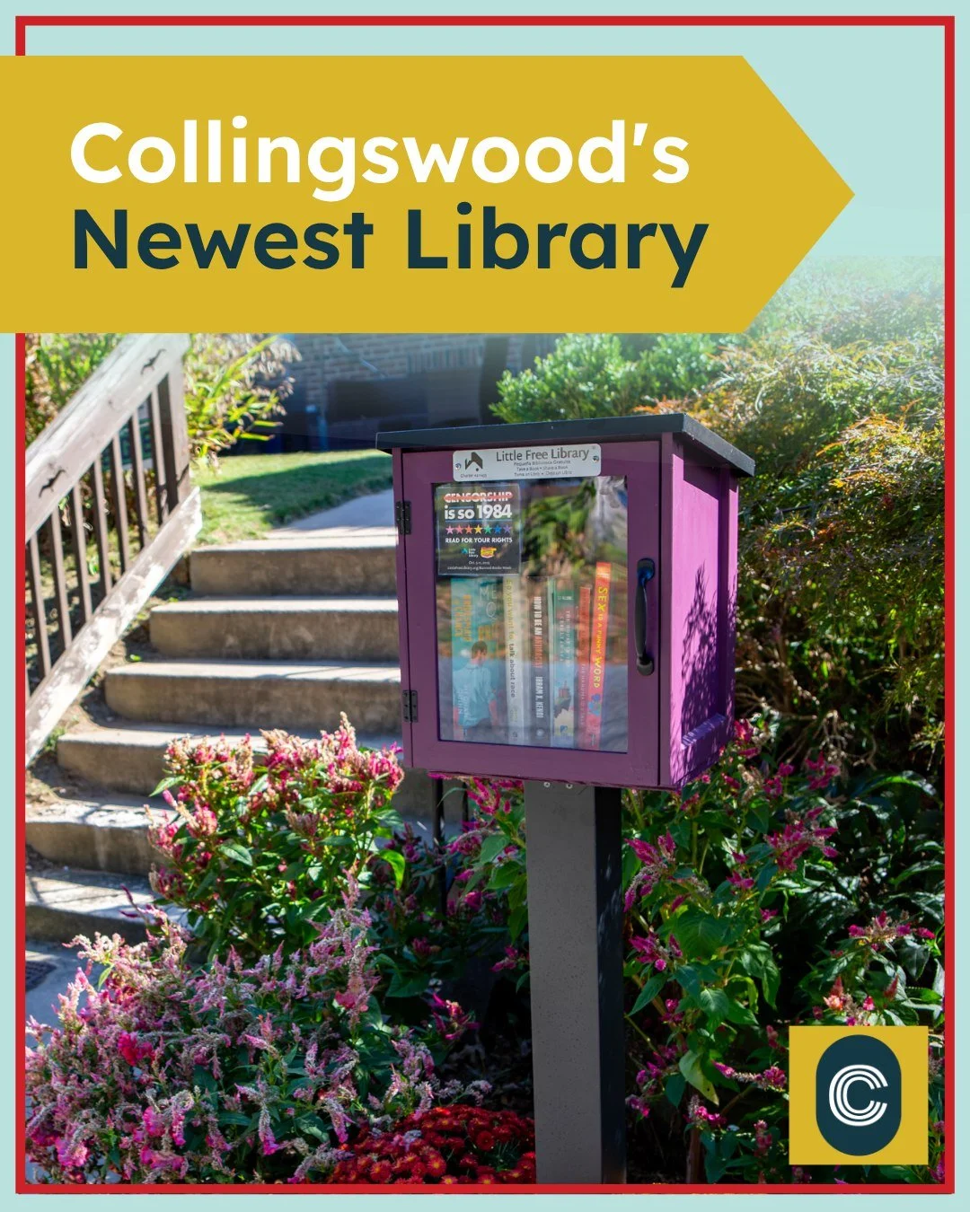 Hey Collingswood neighbors! We have some awesome news to share about the Foley family on King Avenue. They just officially set up their own Little Free Library, and it looks absolutely incredible. We are so thrilled to see this kind of passion for re