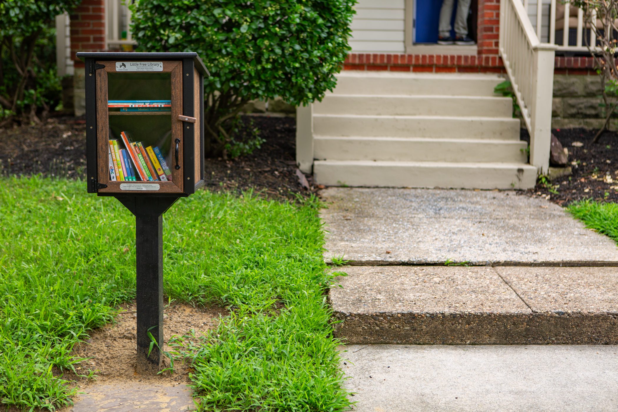CCC_LittleLibraryThompson2025-18.png
