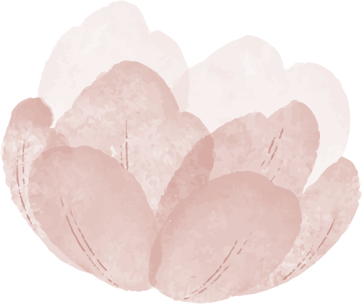 Flower-transparent-background.png