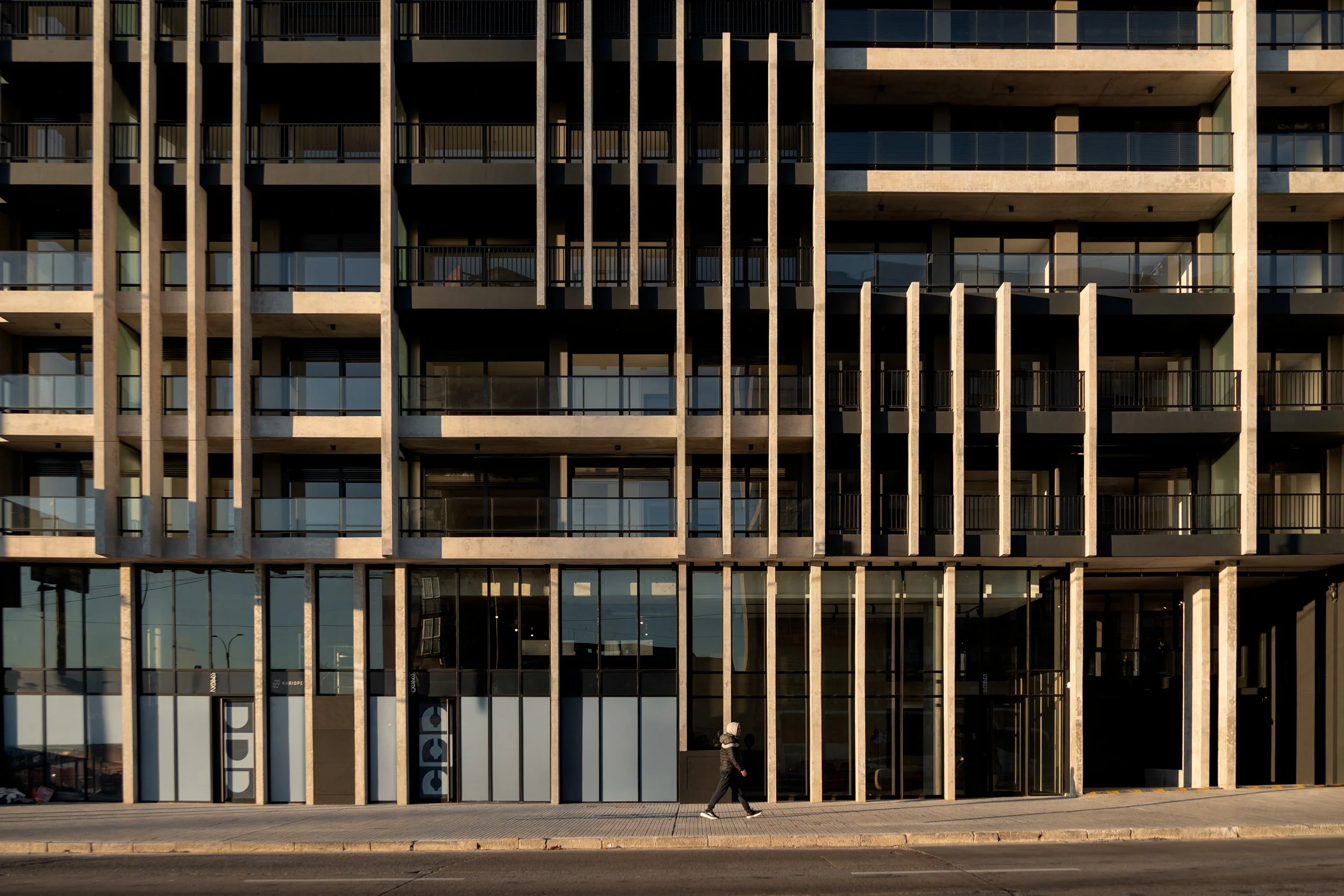 Grou Habitat 26.jpg