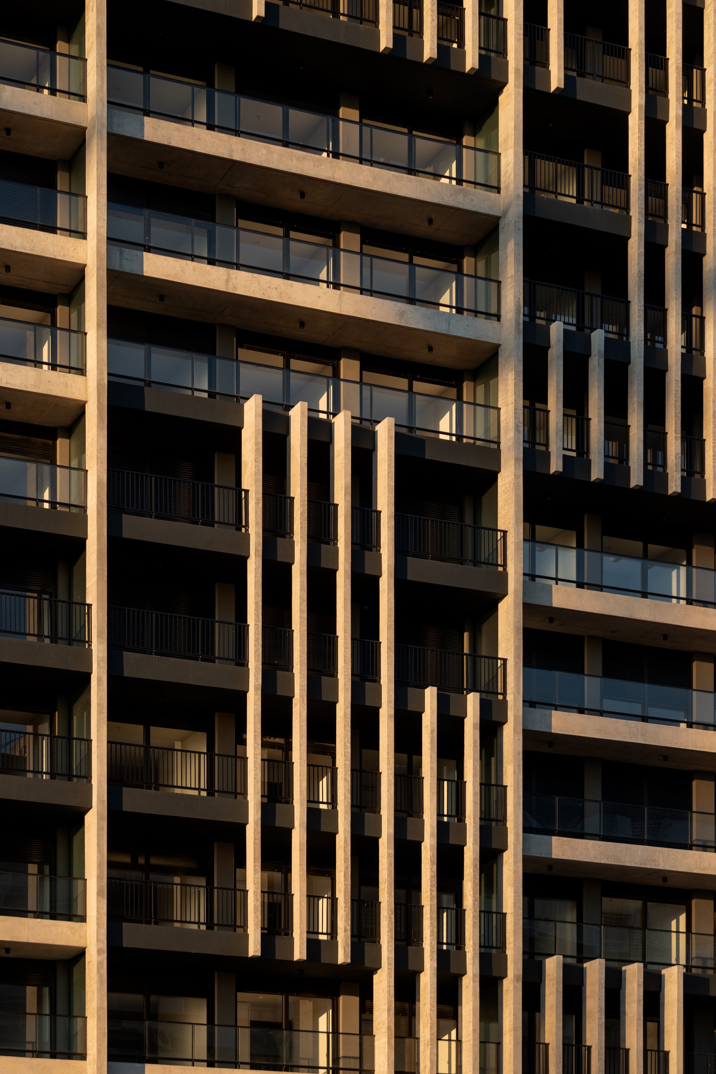 Grou Habitat 13.jpg