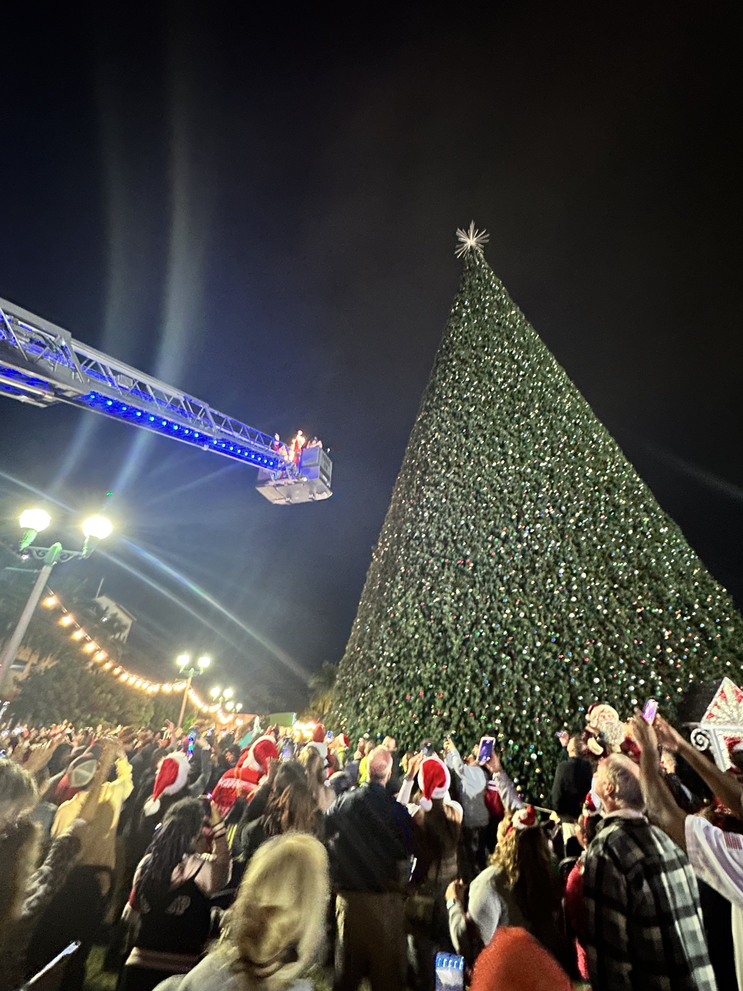 tree lighting.jpg