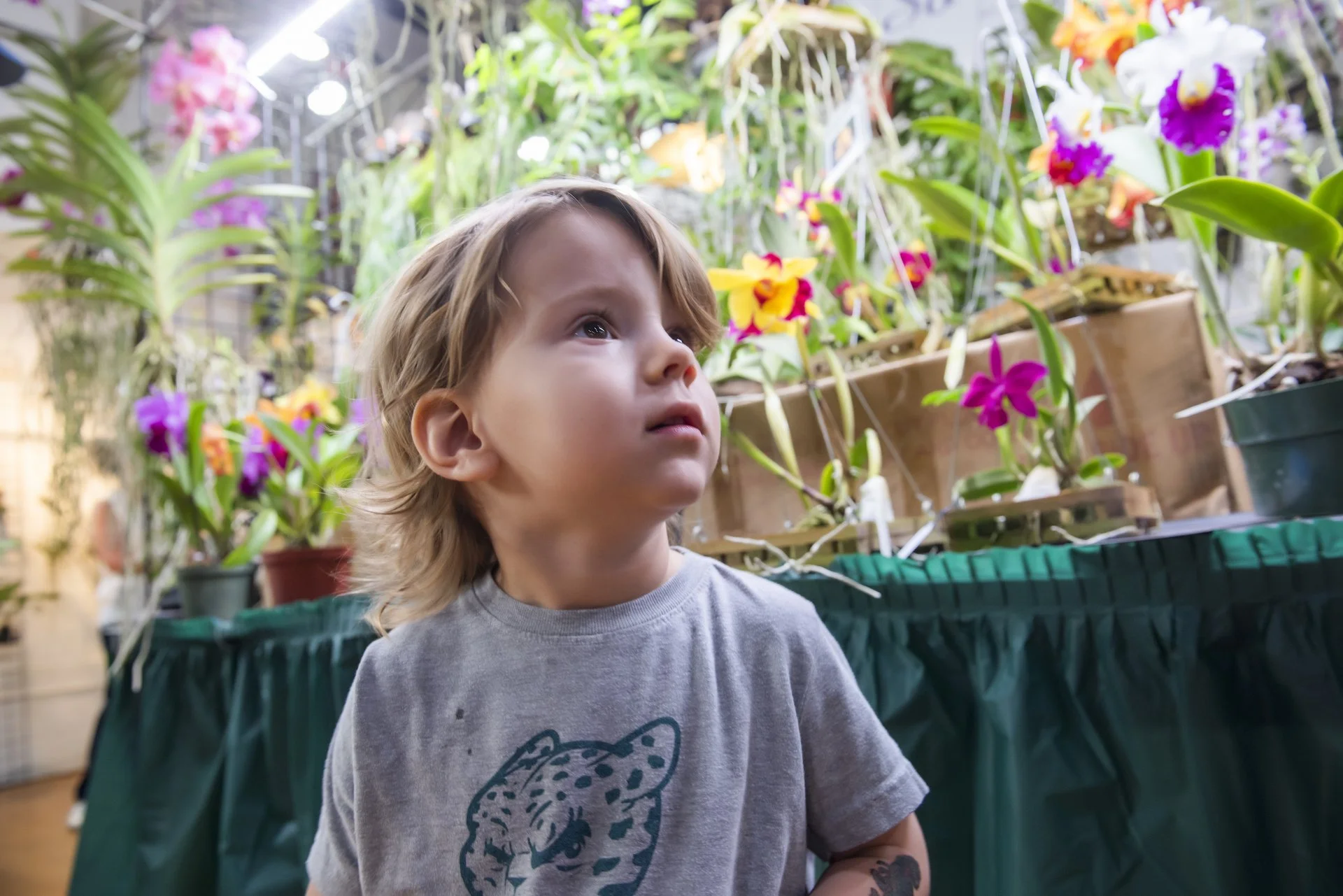 2025 Delray Beach Orchid Society
