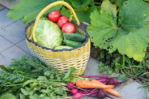 OLLI at FAU: From Soil to Supper: Fresh Food Gardening in South Florida - Bundle Eligible