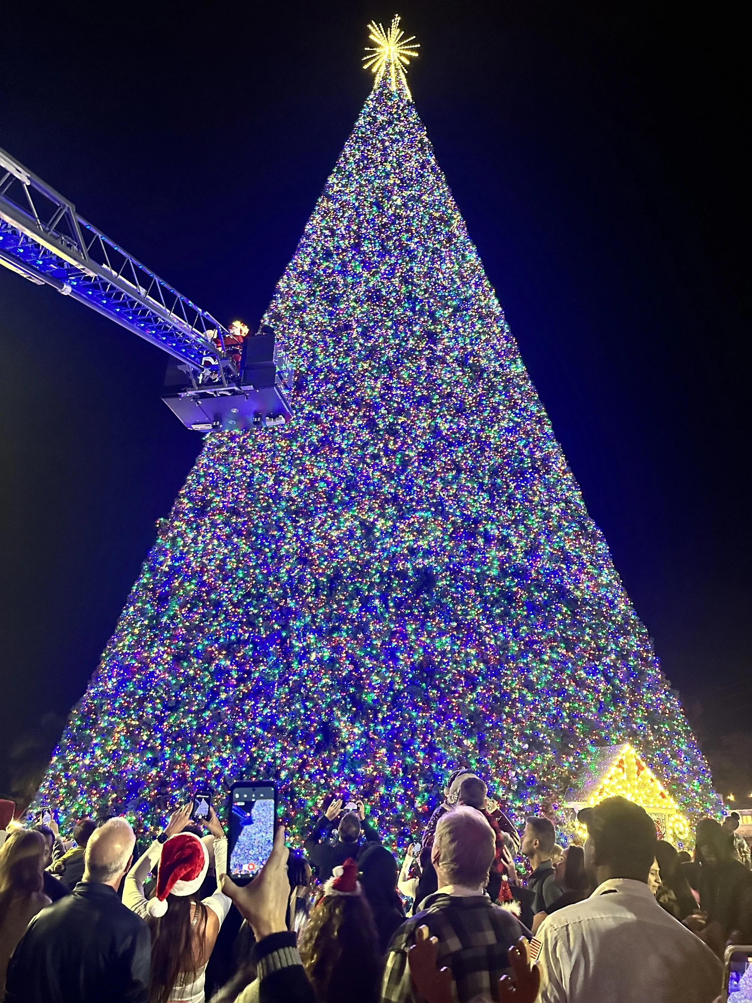 treelighting lit.jpg