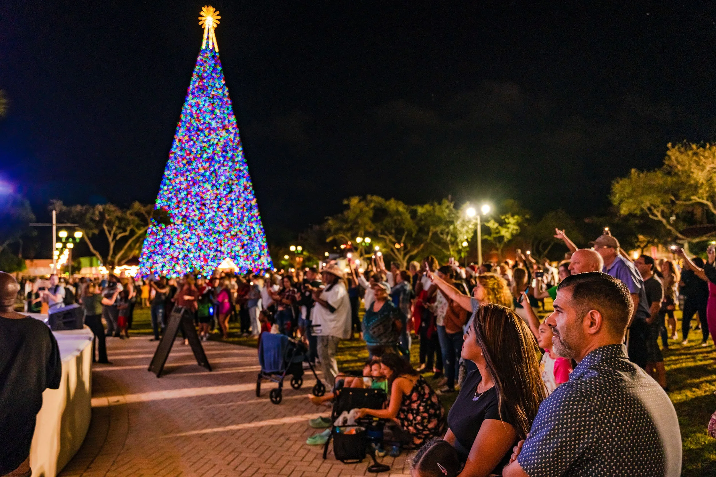 Christmas tree_web.jpg