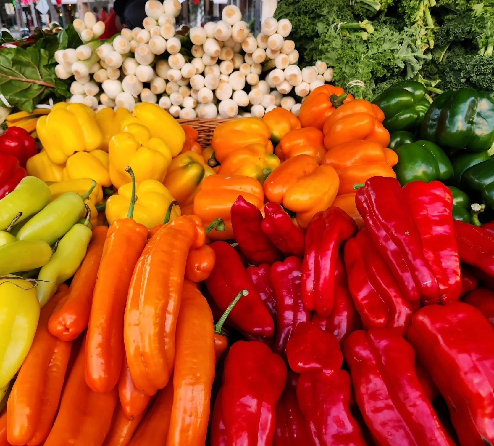 Delray Winter GreenMarket