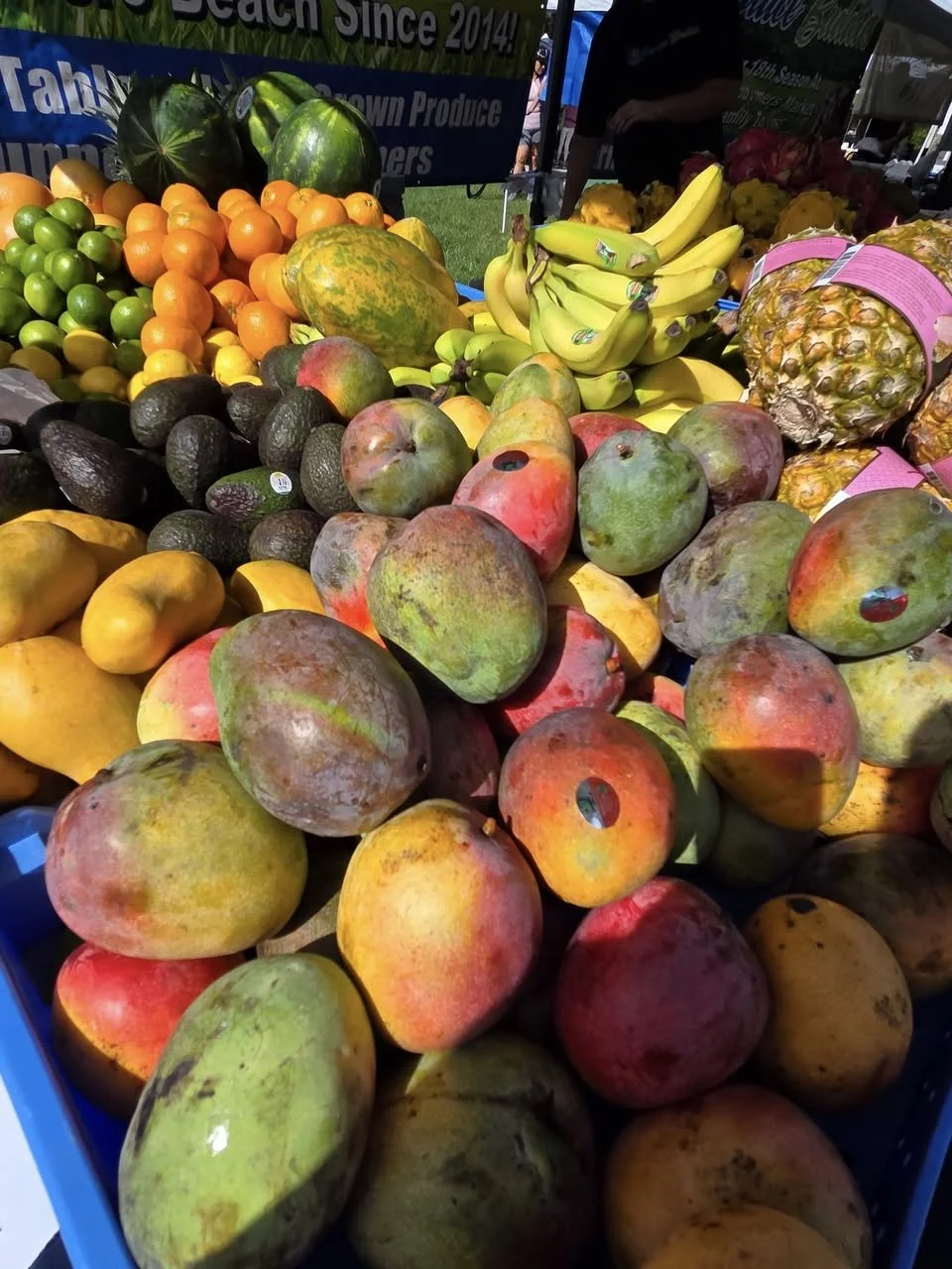 Delray Winter GreenMarket