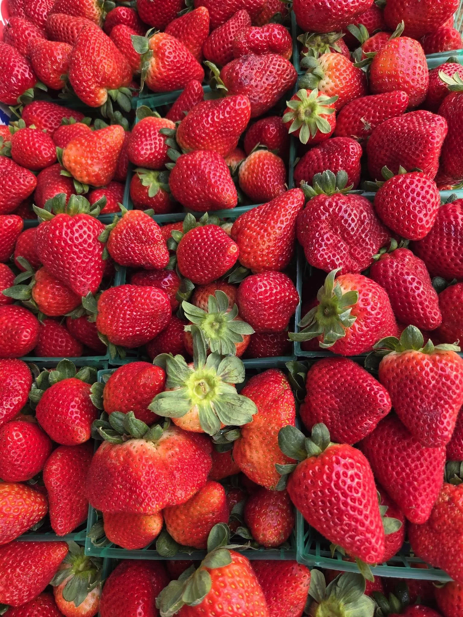 Delray Winter GreenMarket