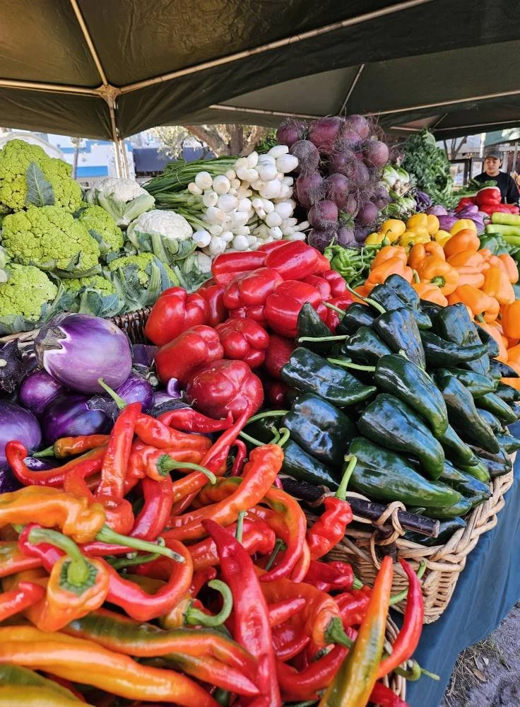 LAST Delray Winter GreenMarket