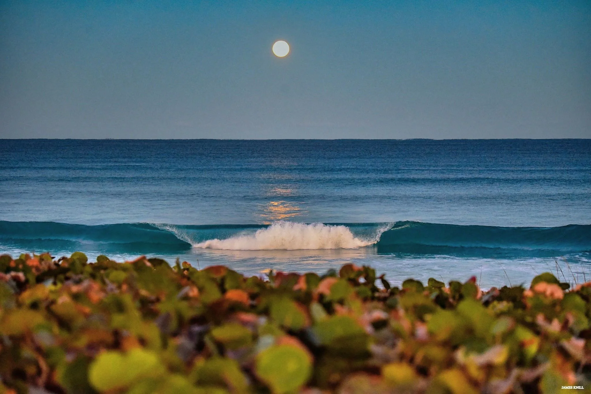 James Knill: Through a Lucid Lens