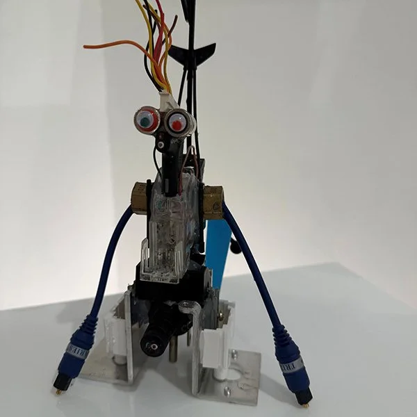 Limbot _600square.jpg