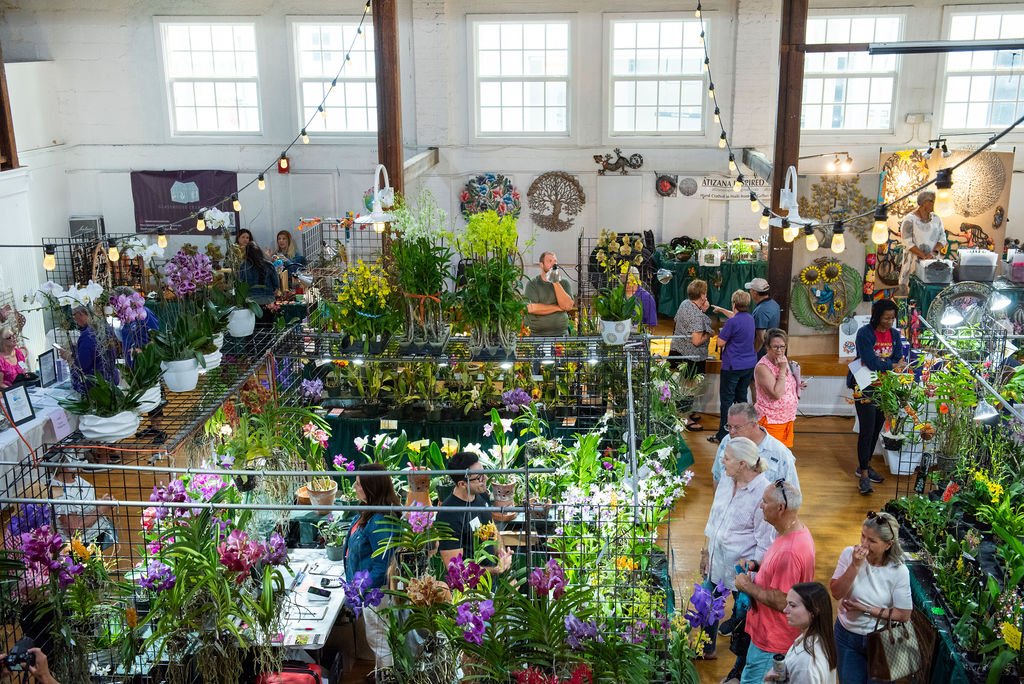 Orchids are Taking Over the Square