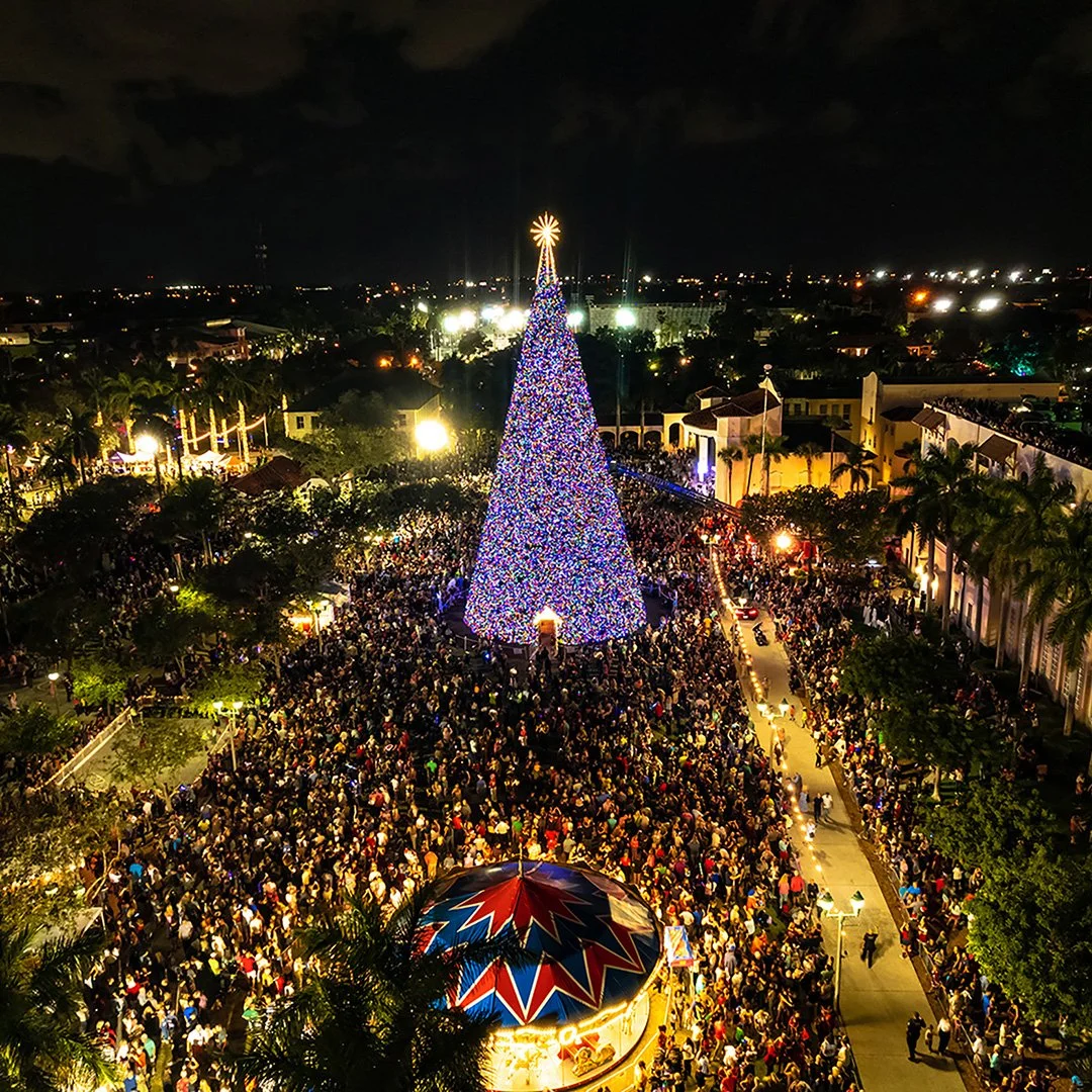 Christmas tree_1080 x 1080.jpg