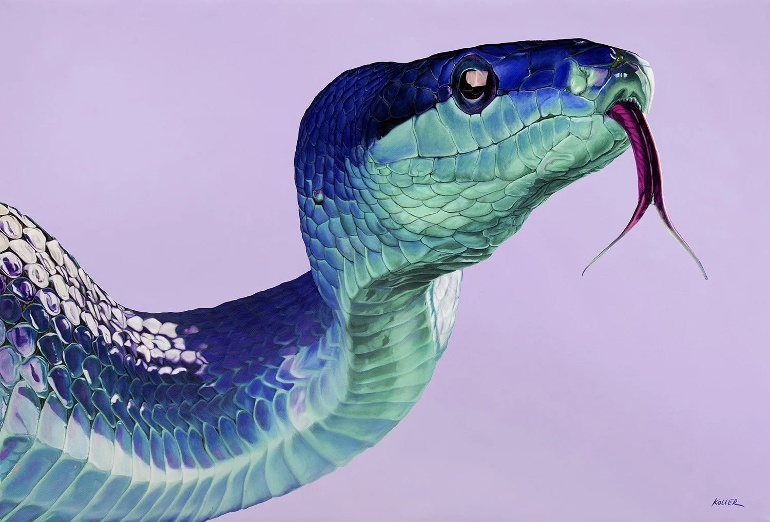 KOLLERISM: "Vivid &amp; Wild,” by Helmut Koller, Exhibition Opening