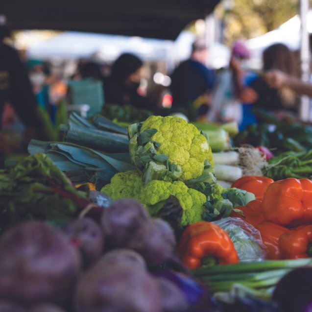 Delray Winter GreenMarket