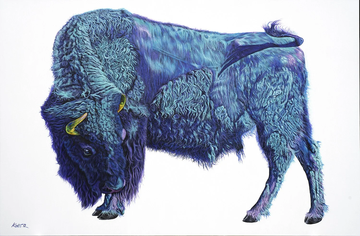201901_Bison_On_White_ac_80x120in_1500.jpg