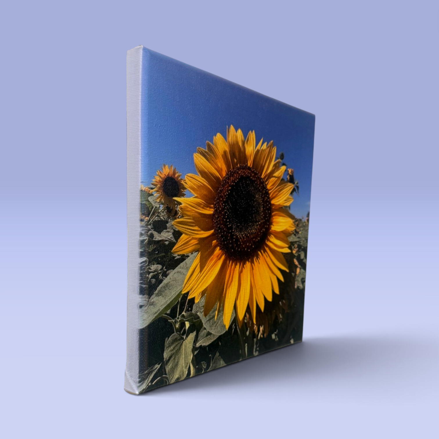 Printed_Canvas_20x20_Side.png