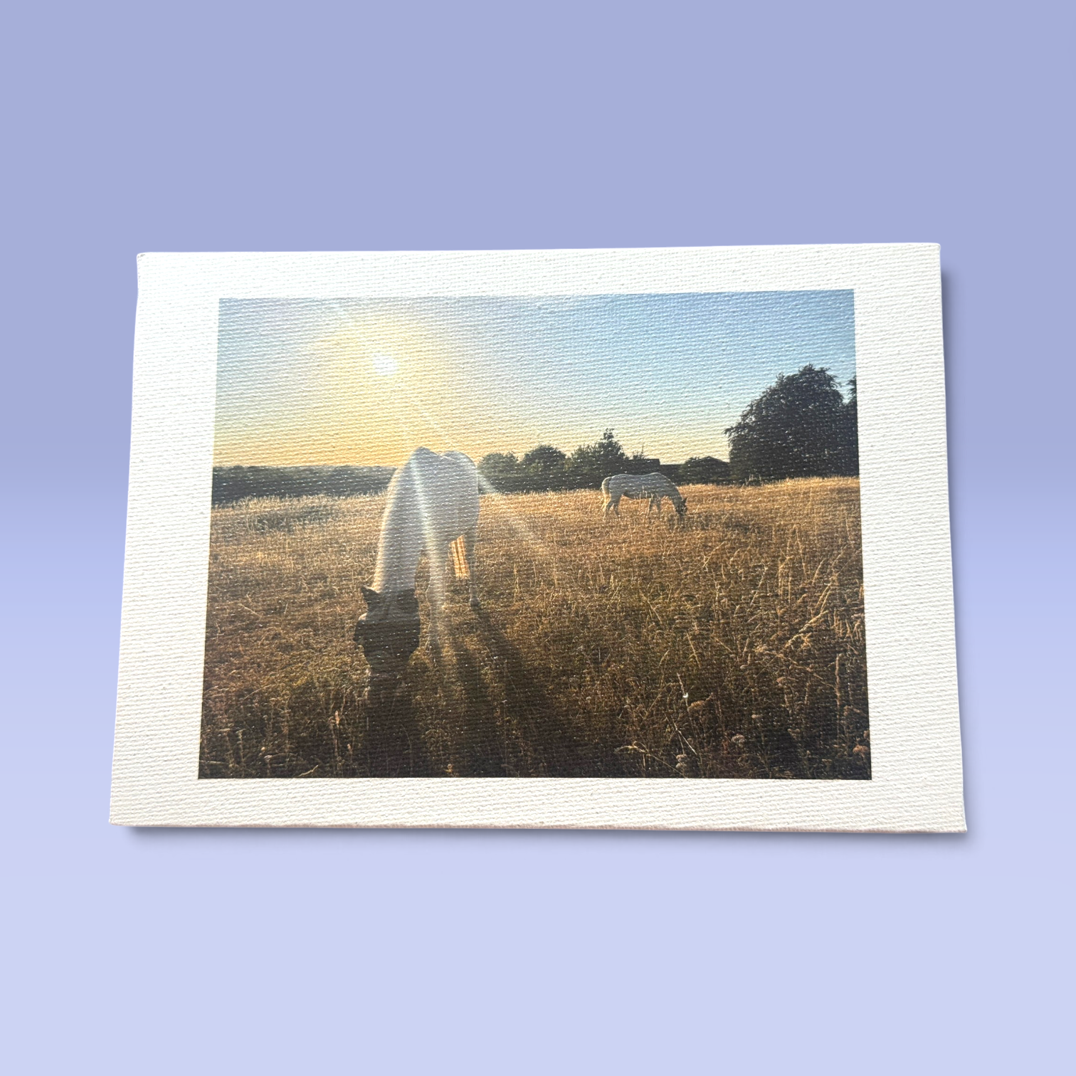 Printed Canvas Panels