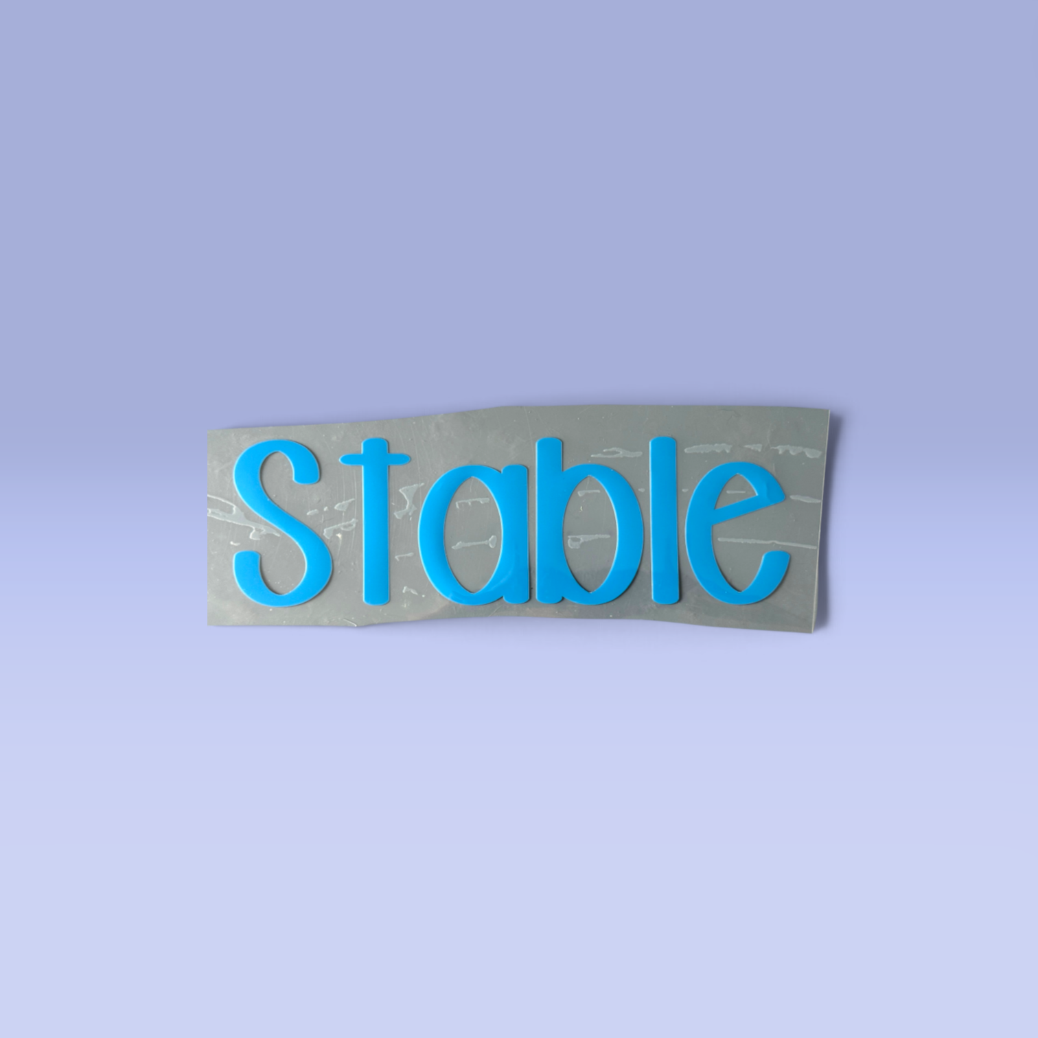 Fly_Mask_Label_Blue.png