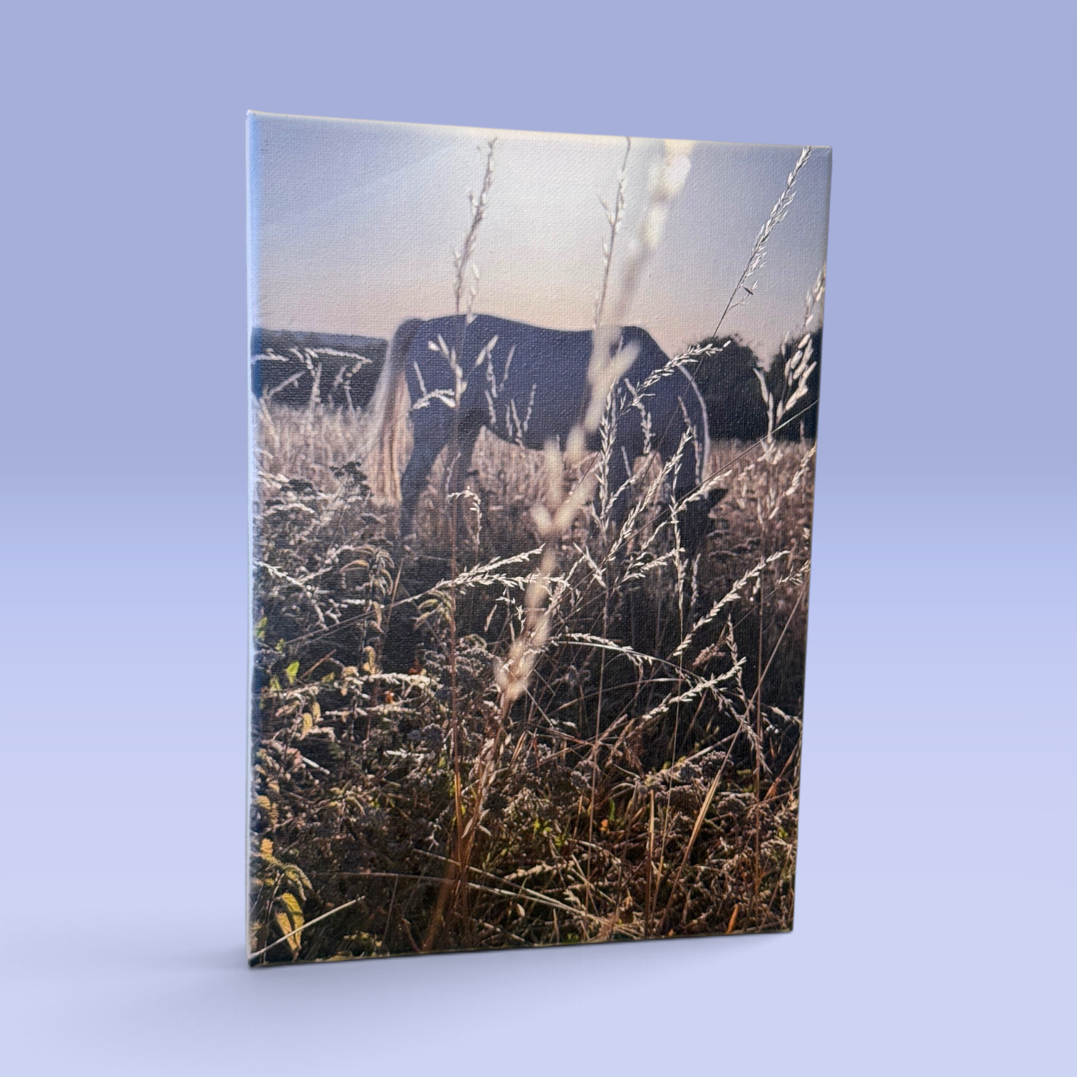 Printed_Canvas_A4_Front.png
