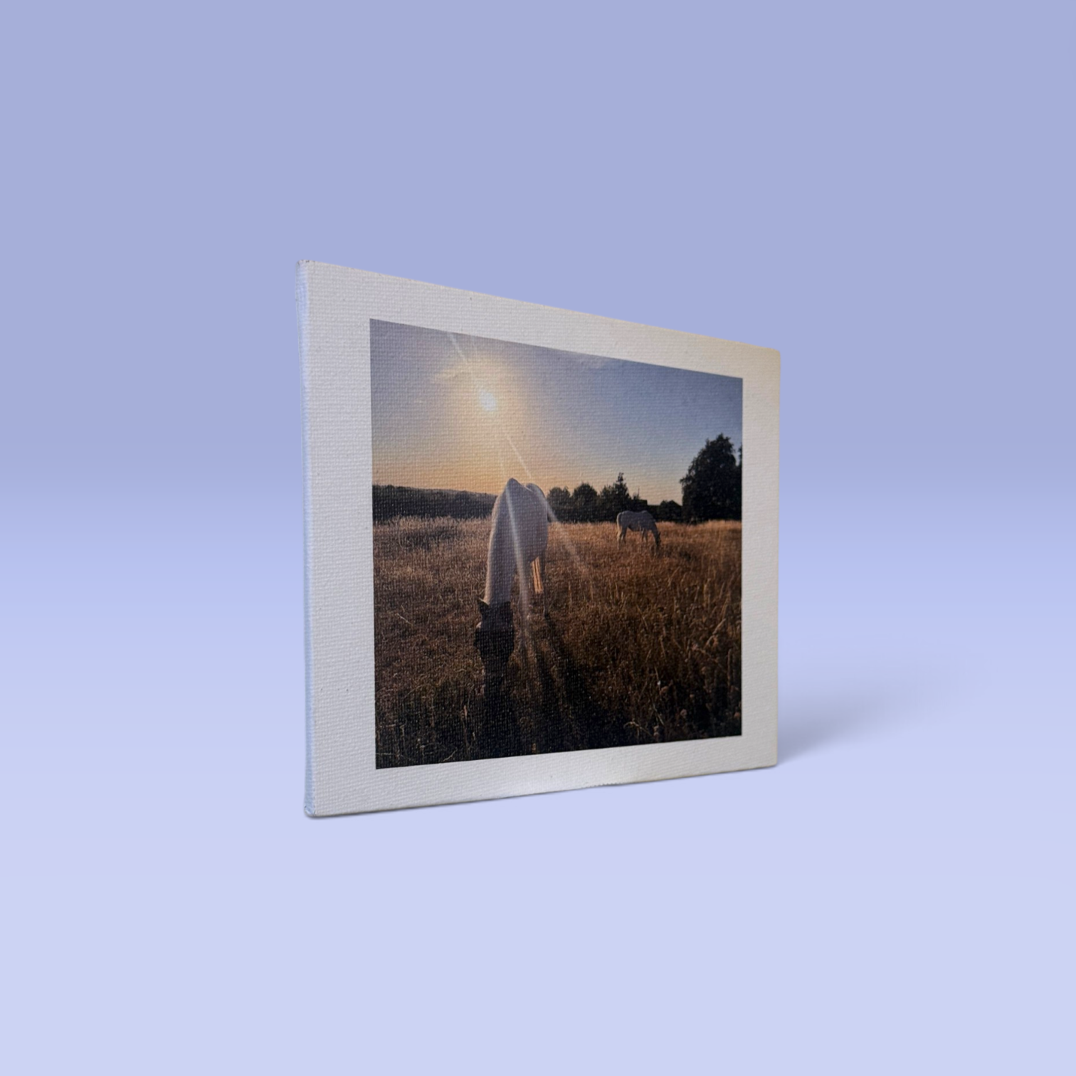 Printed_Canvas_Panel_Side.png
