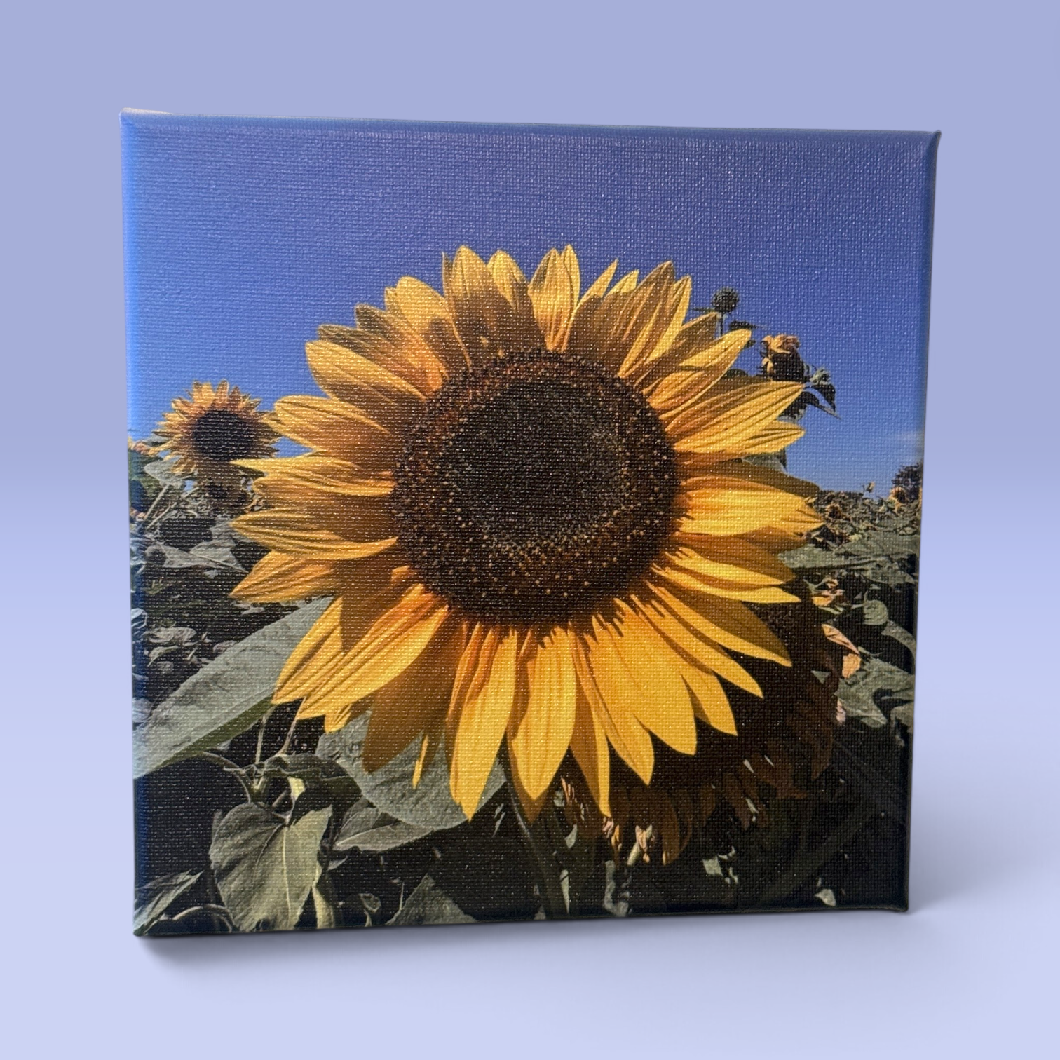 Printed_Canvas_20x20_Front.png