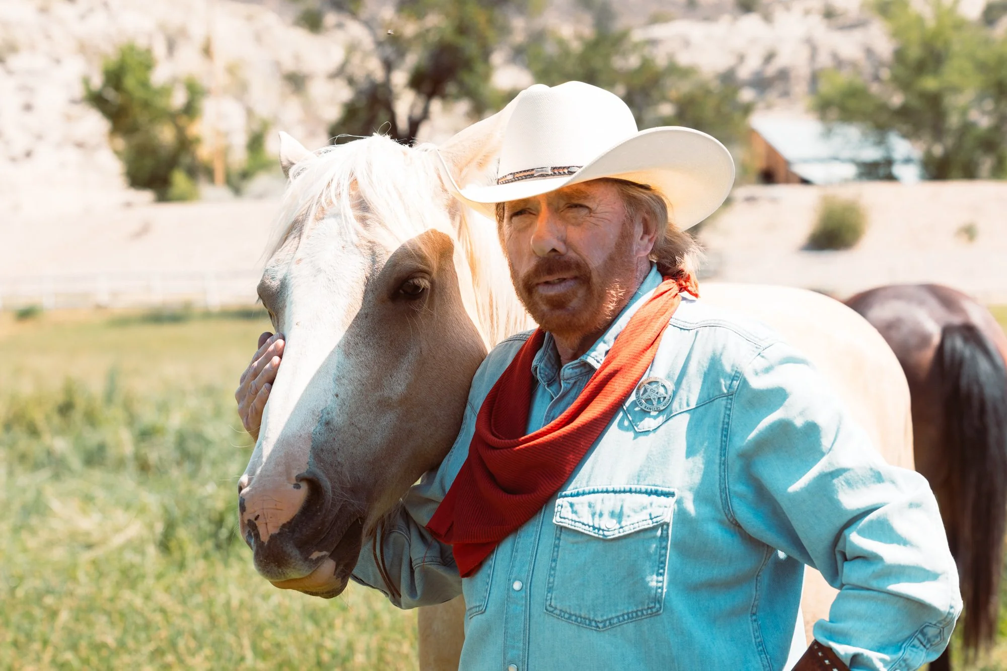Chuck Norris 8.jpg