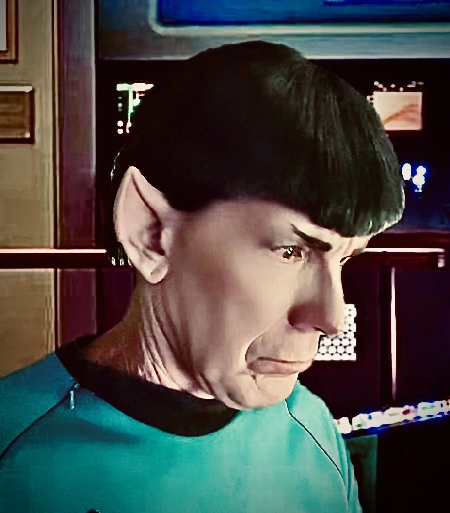 Spock 2.jpeg