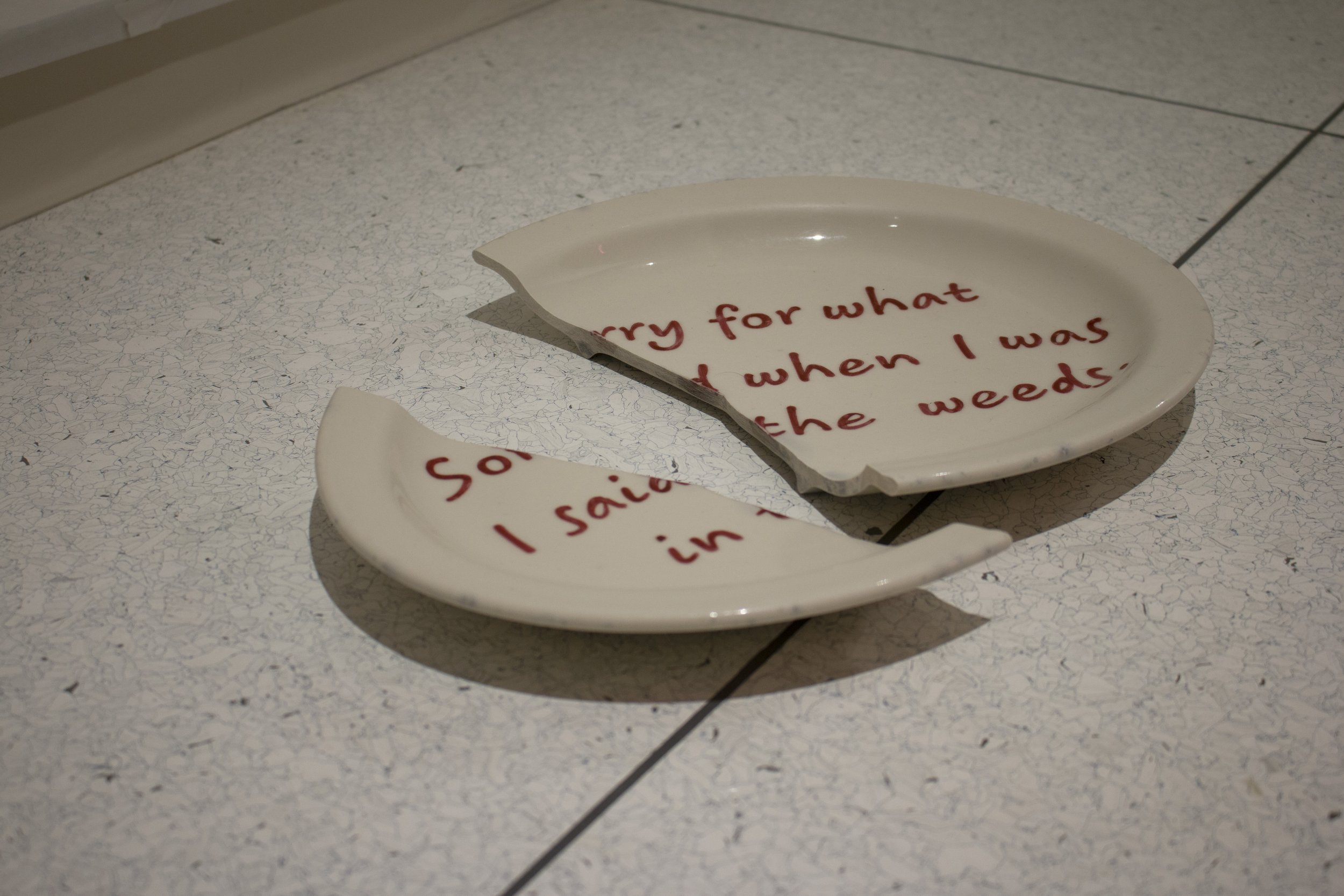 Broken Plate IV