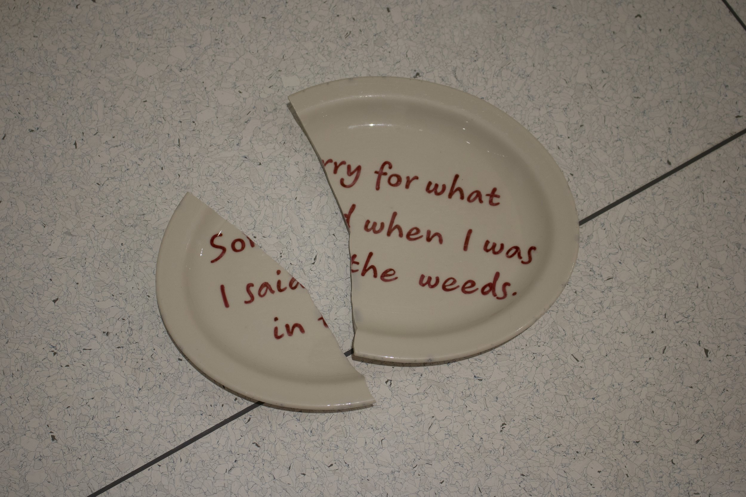 Broken Plate IV