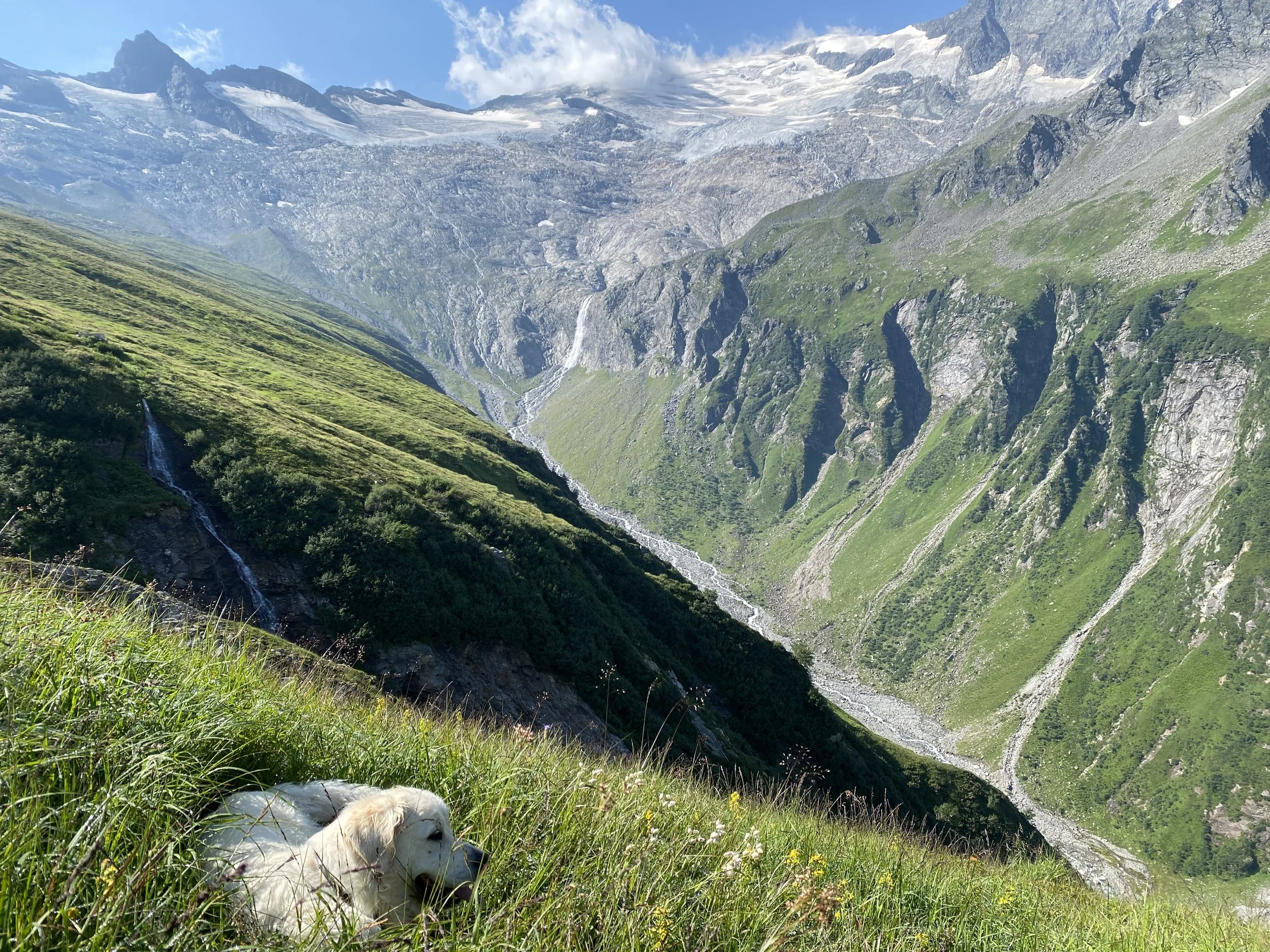 Gross Venediger view