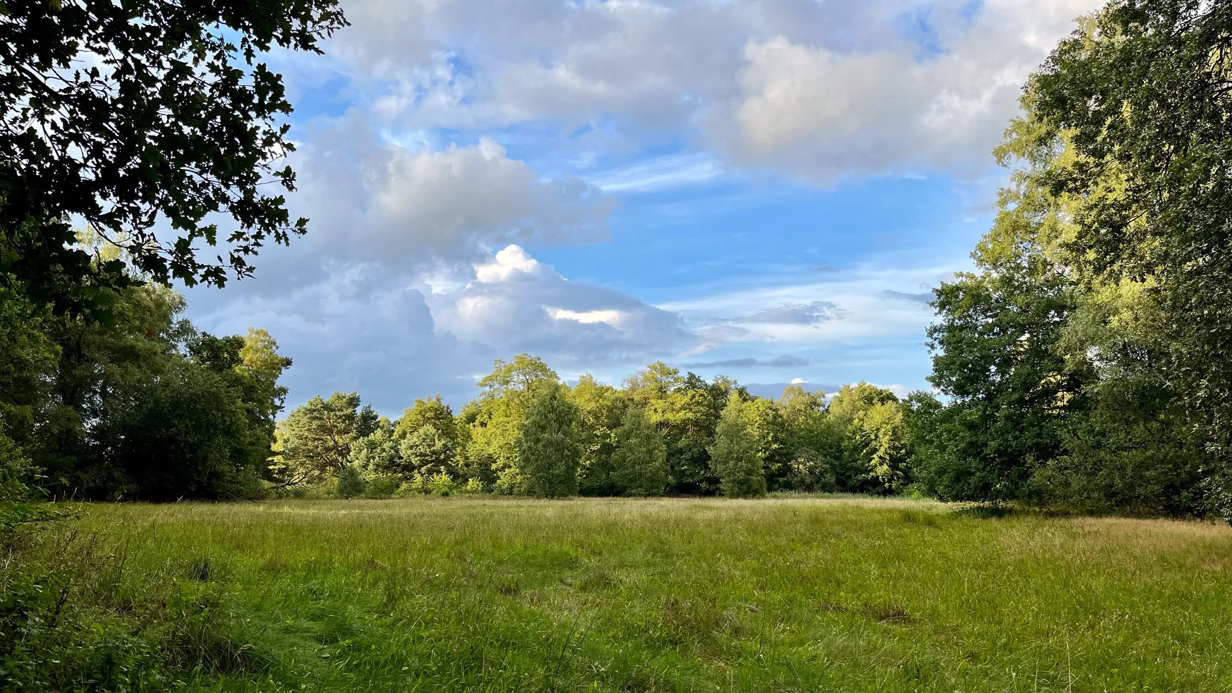 Uitzicht vanuit de hut