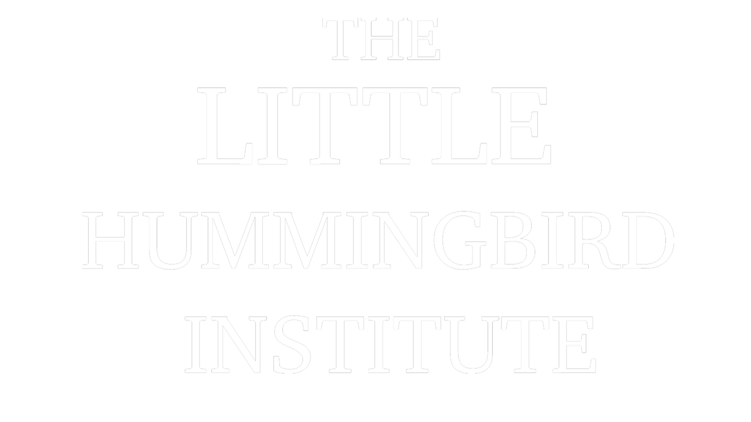 The Little Hummingbird Institute