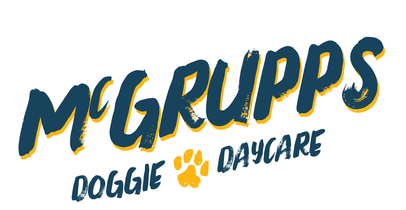 McGrupps Dog Daycare : Award winning Doggie Daycare and Boarding Facility