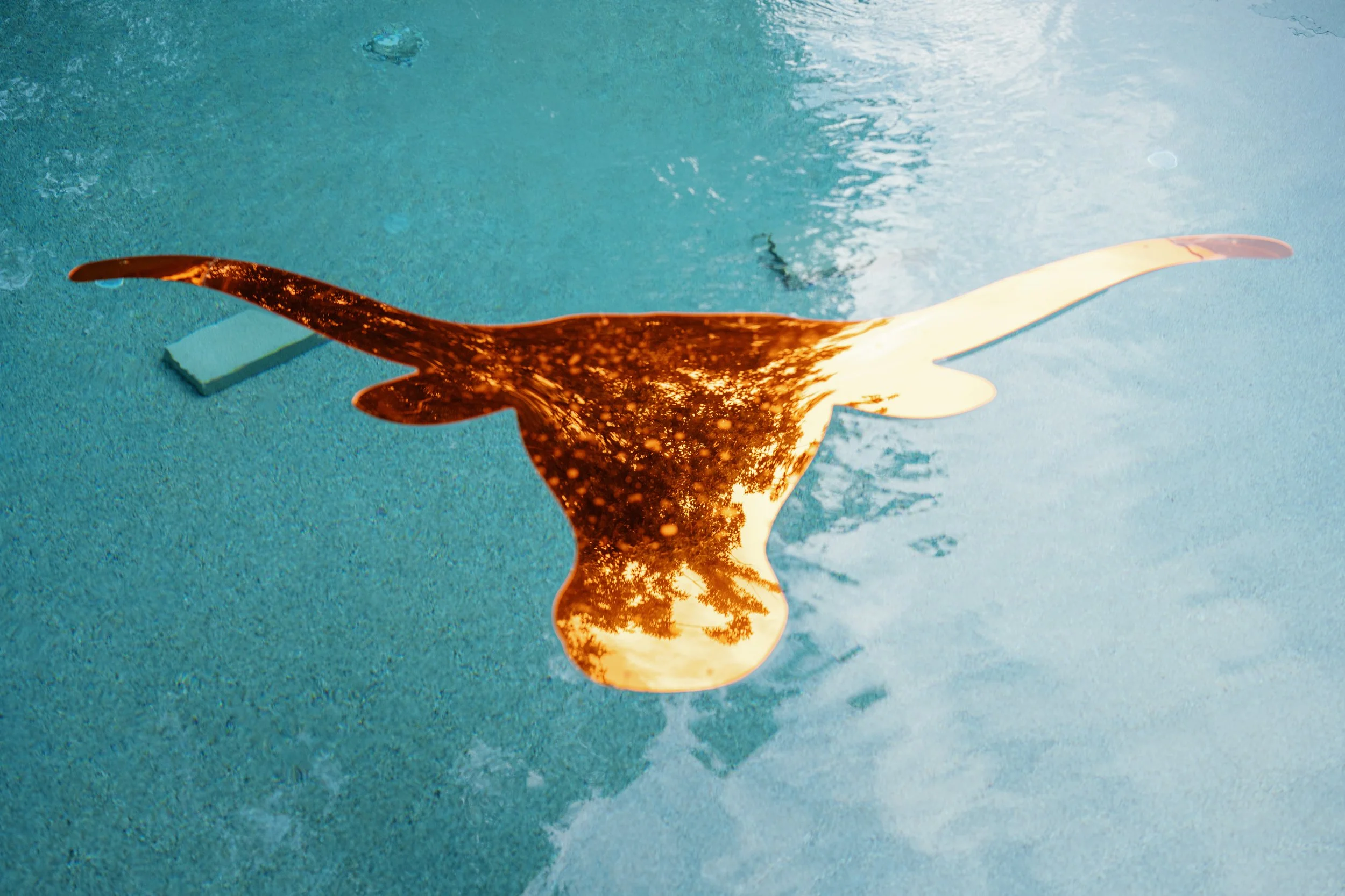 A puddle of water with reflections of trees and the sky, placed on a textured blue surface. There is an orange and white paper or cardboard cutout in the shape of a whale or dolphin near the puddle.