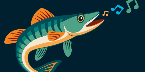 Sulay und der Zauberfisch