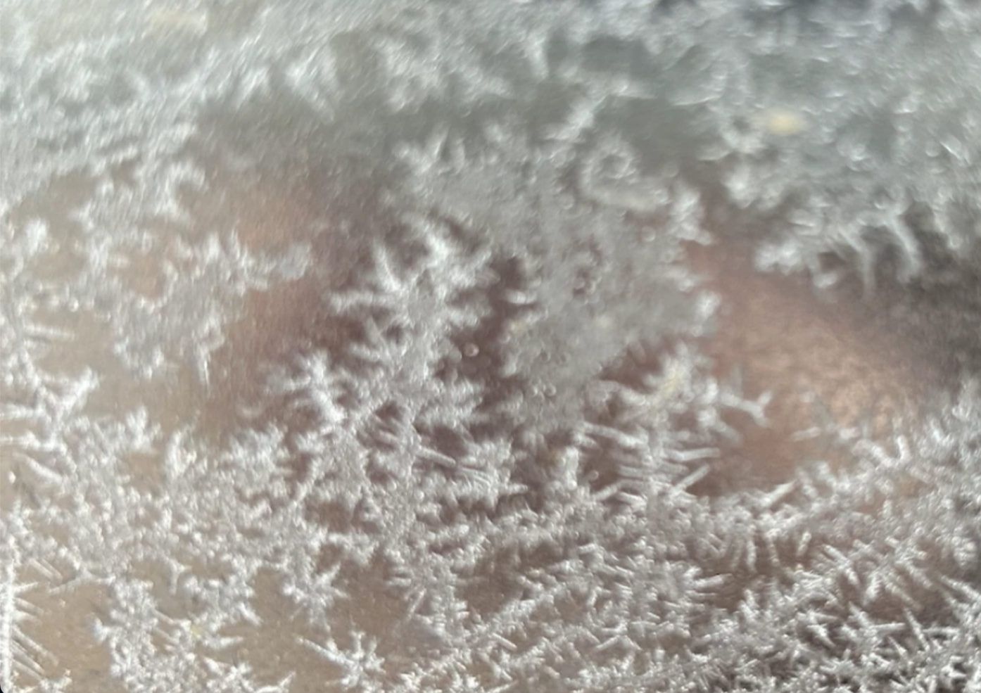 Eisblumen - ein zauberhafter Adventskalender