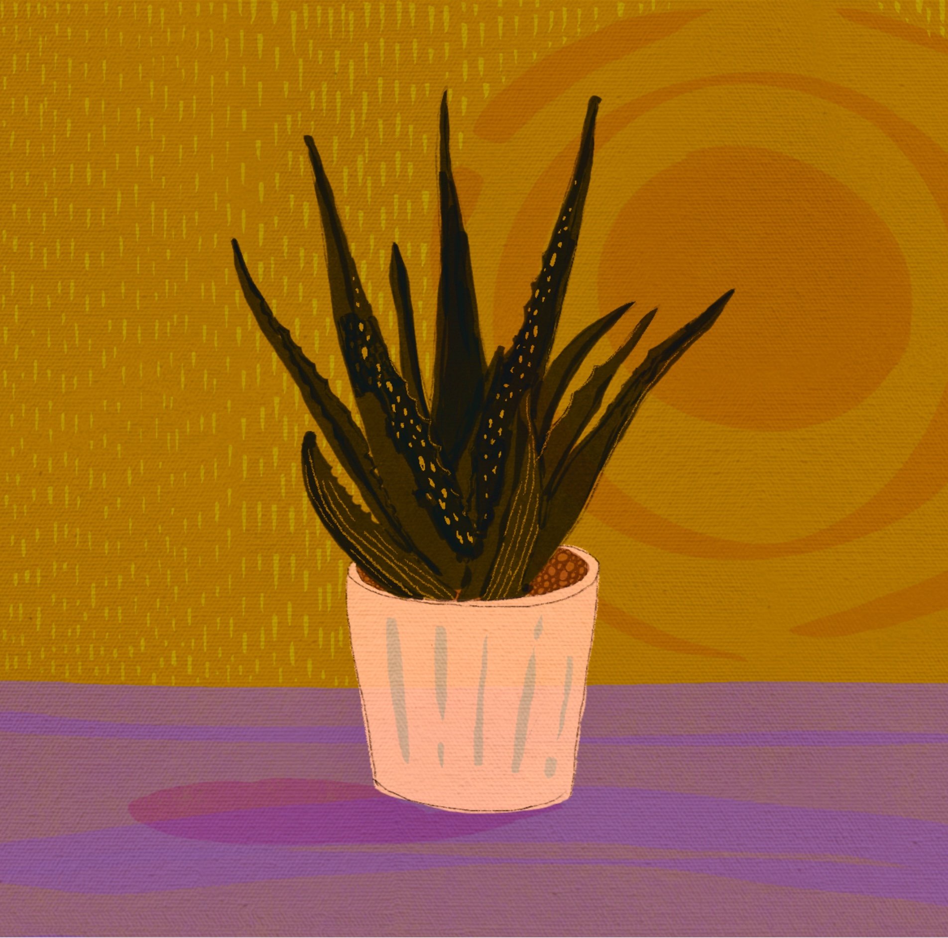 New Portfolio Item