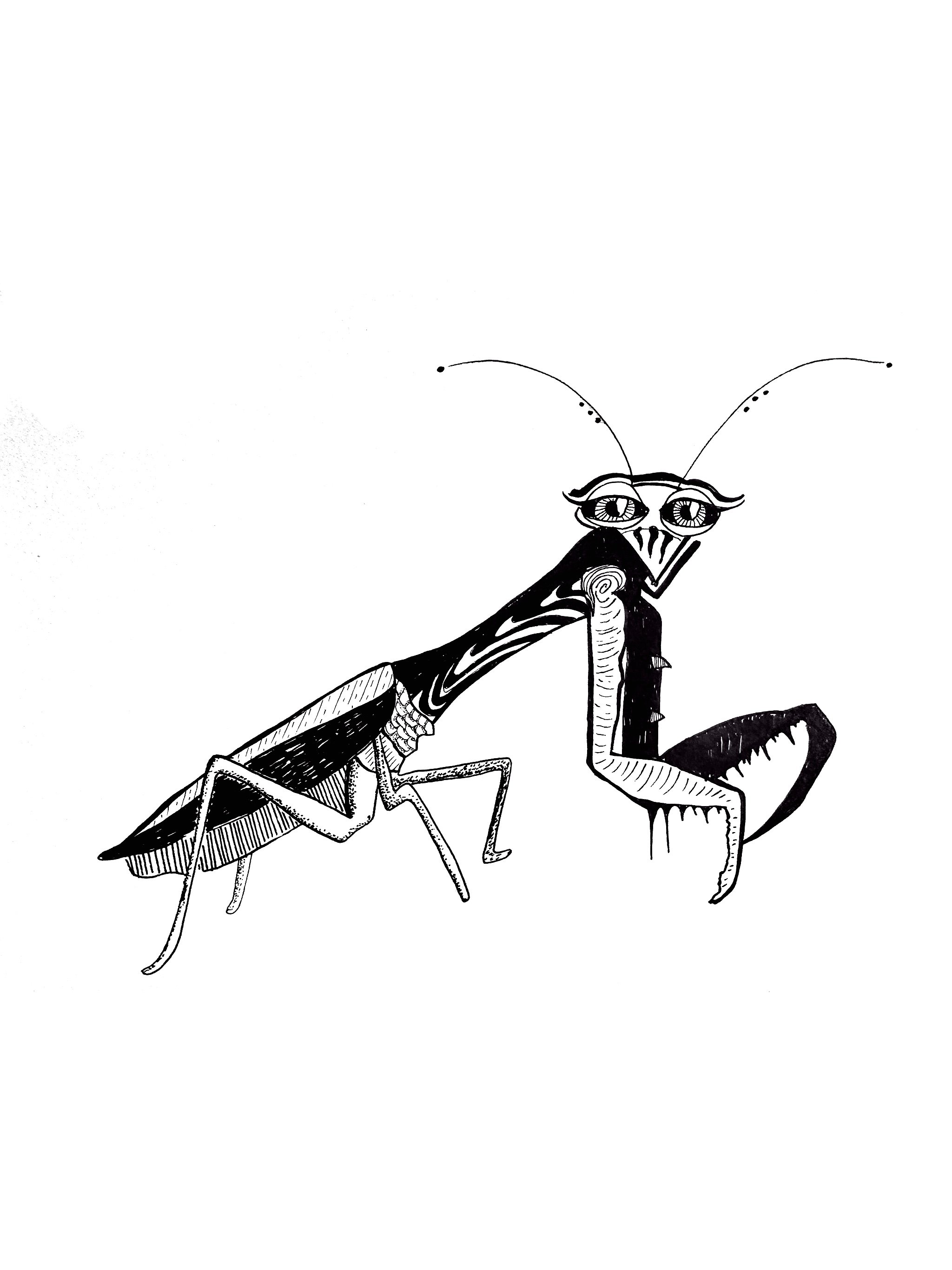 New Portfolio Item