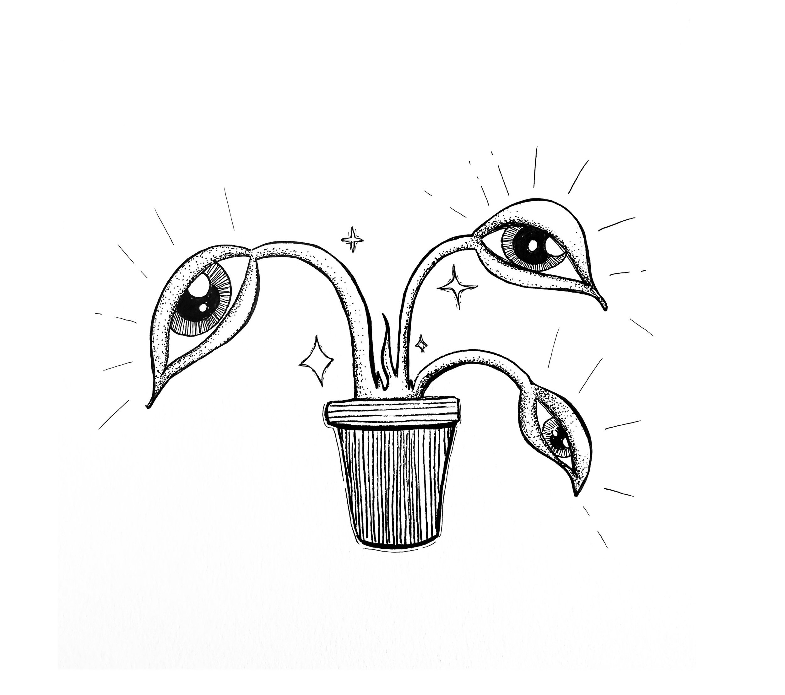 New Portfolio Item