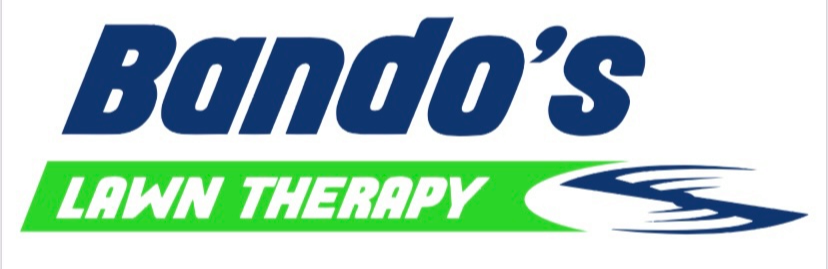 bando.png