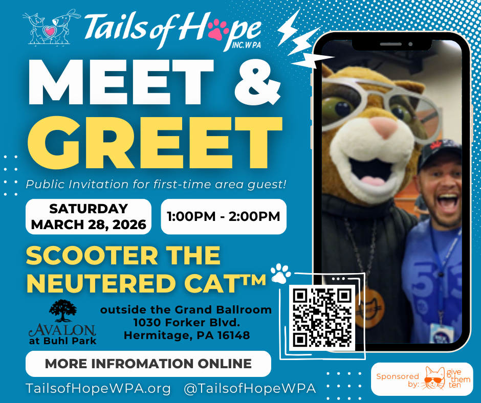 Scooter the Neutered Cat Meet &amp; Greet
