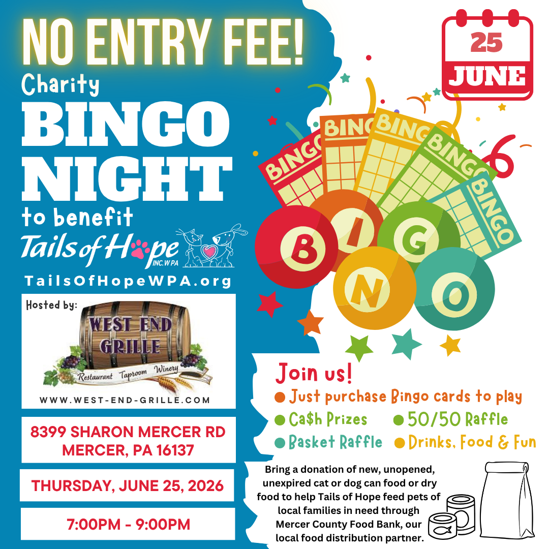 Charity Bingo Night