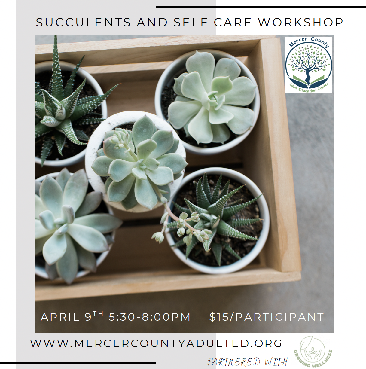 Succulents and Self Care Workshop
