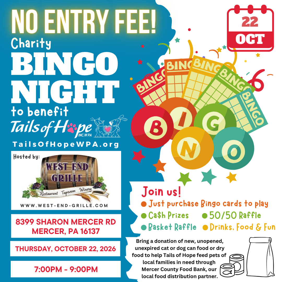 Charity Bingo Night