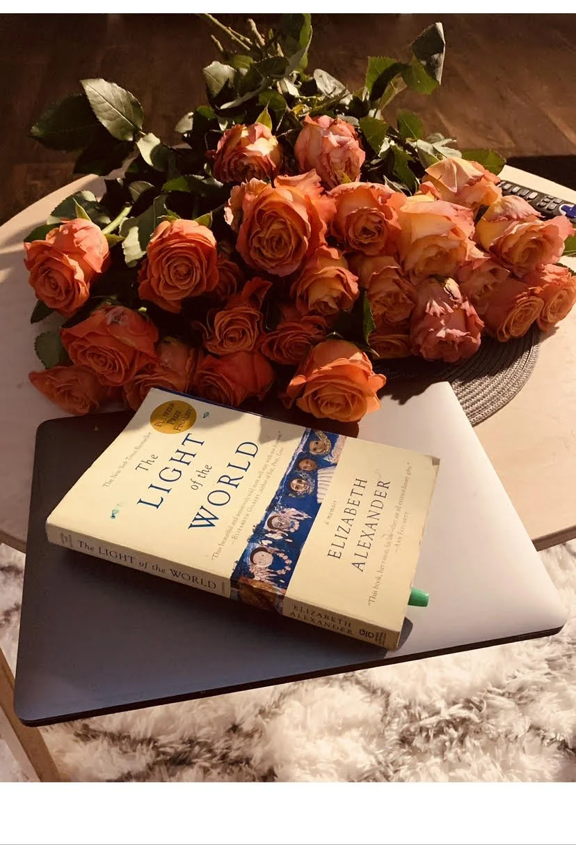 Click on the picture to purchase this book