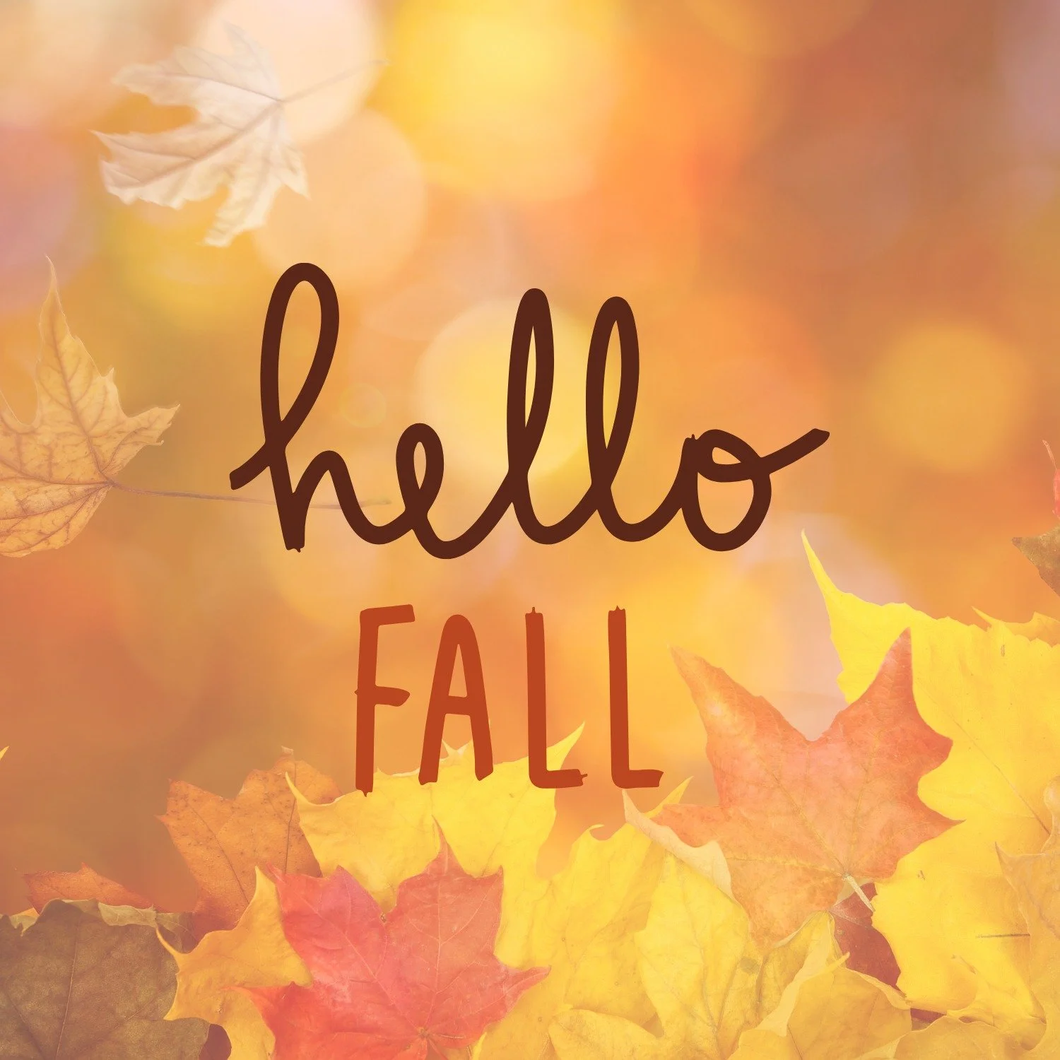 🍂✨ Happy First Day of Fall! ✨🍂
Just like the changing seasons, it’s the perfect time to refresh your routines and set new goals. Whether you’re saving up, planning ahead, or simply enjoying the cozy season, we’re here to help you
