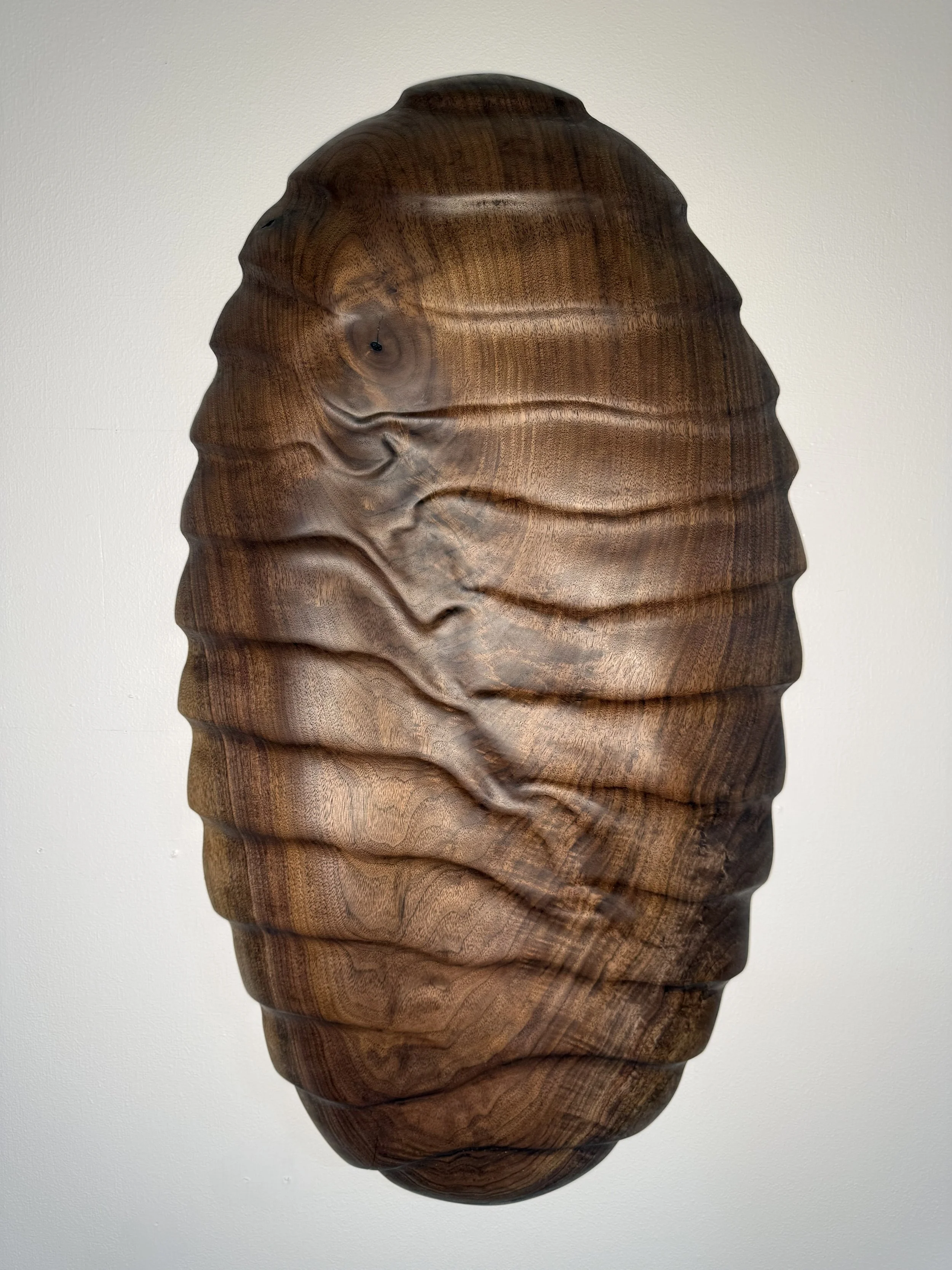 Walnut_Oval_SP.jpg