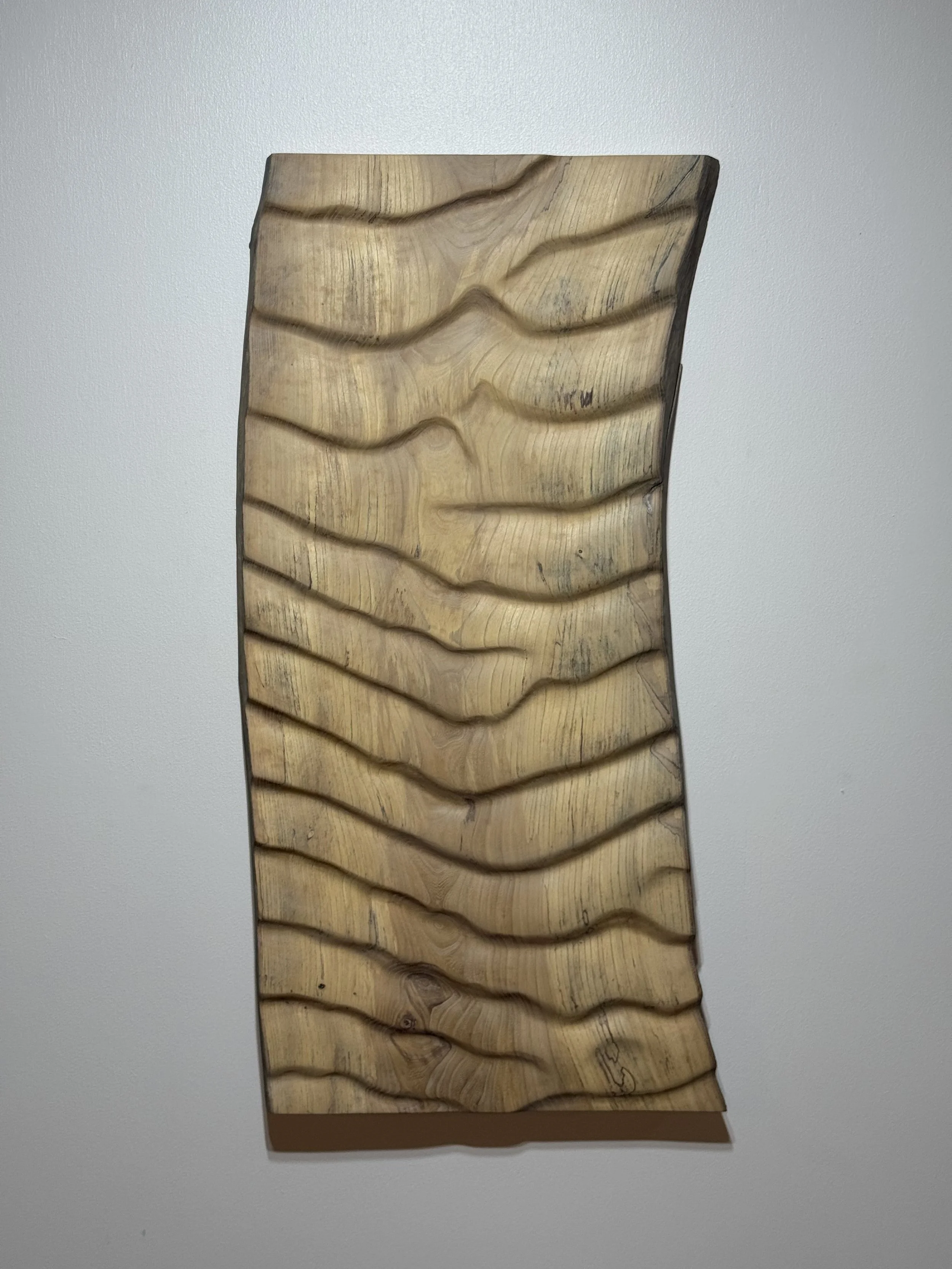 Swaying Elm SP 2025 (1).jpg